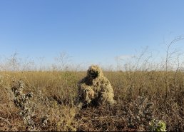 Маскировочные костюмы для охоты в интернет-магазине в Краснодаре, купить маскировочную сеть с доставкой картинка 4