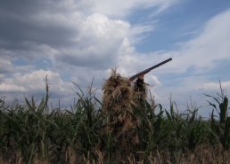 Маскировочная одежда для охоты в интернет-магазине в Краснодаре, купить маскировочную сеть с доставкой картинка 46