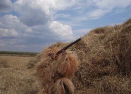Маскировочная одежда для охоты в интернет-магазине в Краснодаре, купить маскировочную сеть с доставкой картинка 28